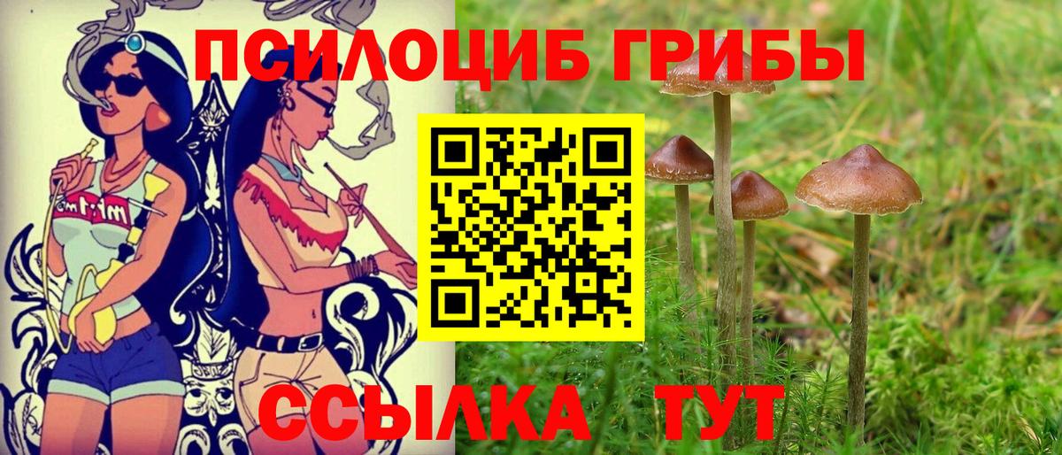 Артёмовский  Галлюциногенные грибы GOLDEN TEACHER  Вход с VPN 