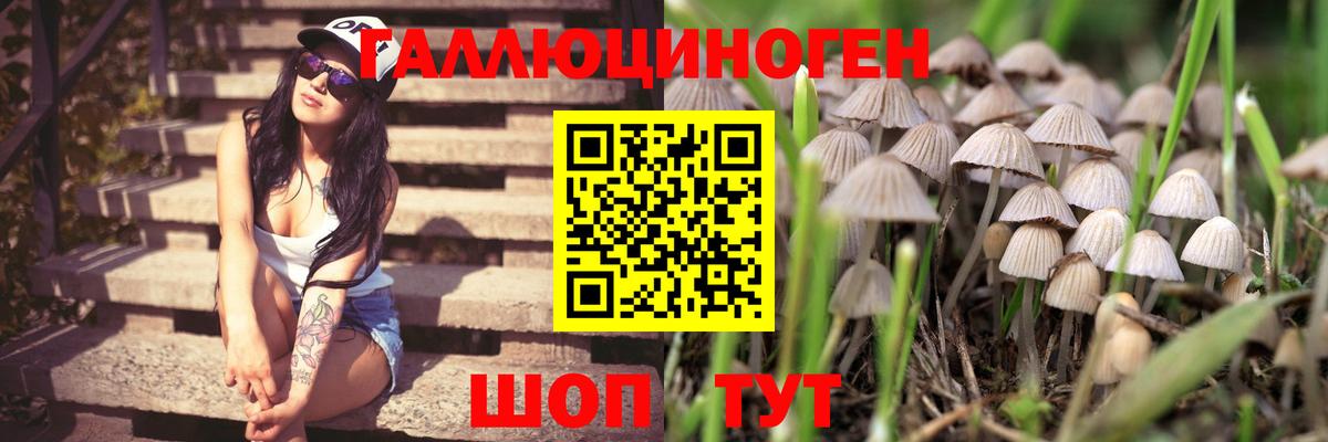 Псилоцибиновые грибы MAGIC MUSHROOMS Артёмовский